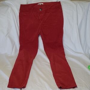 CAbi Red Women's Velour Pants